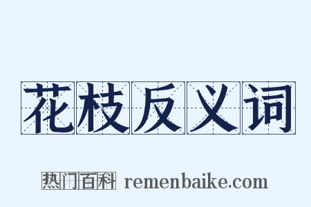 花枝反义词是什么意思的图片